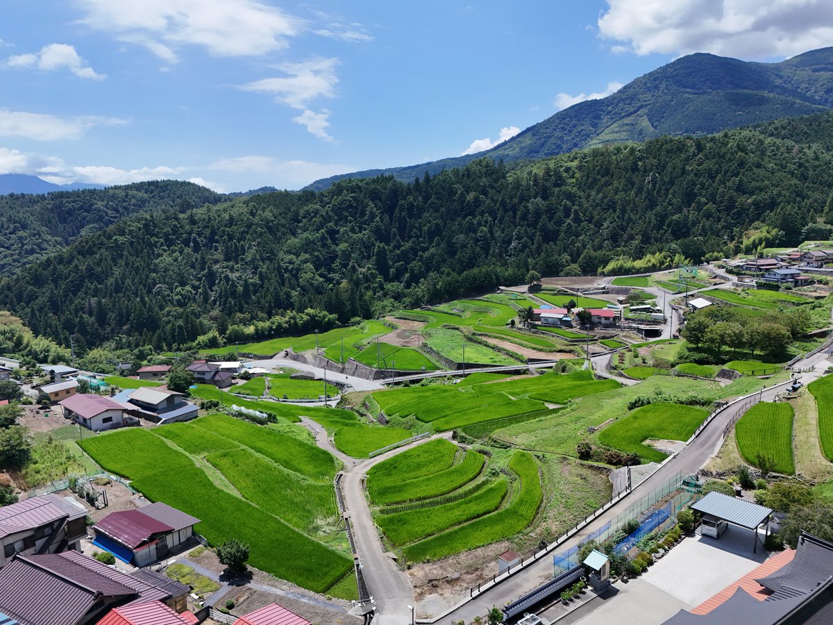 fujikawa_dmo's tweet photo. 平林地区の棚田☀️
田植え後からの成長‼️
緑がきれいです✨
この日は富士山が隠れていて見えませんでした😅
#富士川町棚田 https://t.co/FKsKnN5wKP