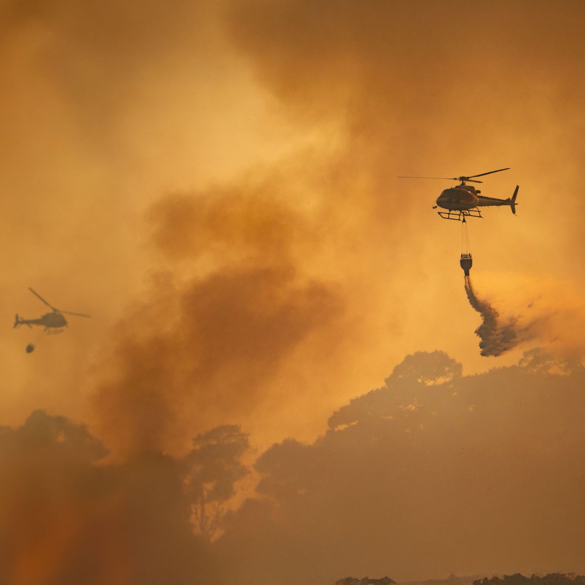AtlaiWorld's tweet photo. Cuba's tree cover declines by 0.17% amid rising wildfires. Latest incident in Holguin highlights ongoing challenges. #ATLAI #ChartAGreenPath #togetherforhumanity
https://t.co/hZDwtUlAB5 https://t.co/B8C8HgkyoU