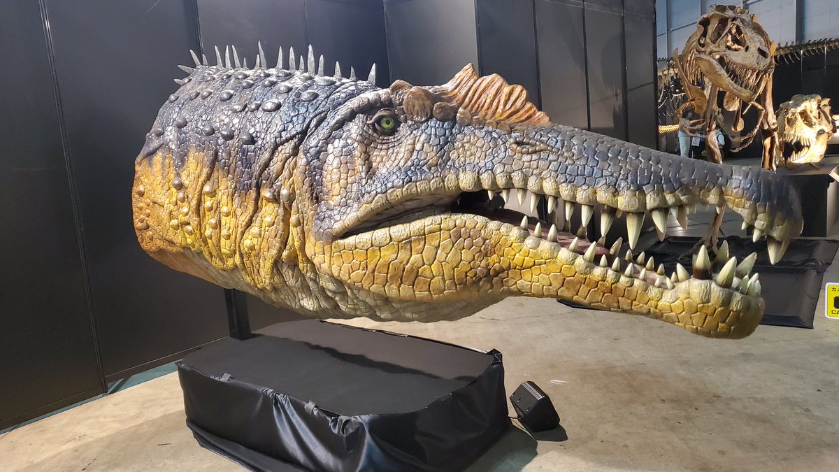 D20240201's tweet photo. 夏だ恐竜だ！という事でヨコハマ恐竜展2026行ってきた！
そこまで混んでなくて見やすかった。 https://t.co/WLE3RGxh9U