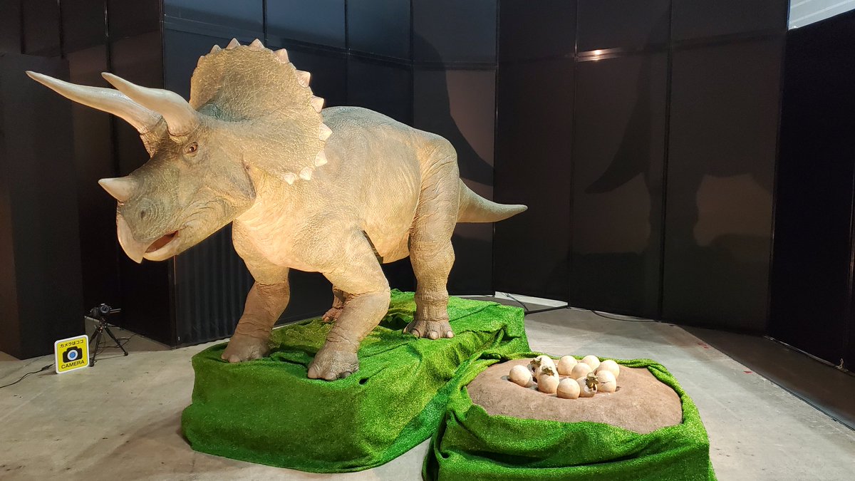 D20240201's tweet photo. 夏だ恐竜だ！という事でヨコハマ恐竜展2026行ってきた！
そこまで混んでなくて見やすかった。 https://t.co/WLE3RGxh9U