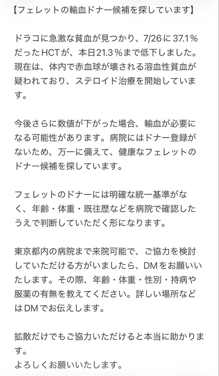 ferret_draco's tweet photo. 【フェレット輸血ドナー候補募集】
ドラコ🐻‍❄️に急激な貧血が見つかり、溶血性貧血が疑われています。
今後輸血が必要になる可能性があります。
東京都内の病院へ来院可能な健康なフェレットの飼い主様いらっしゃいましたらDMお願いします。#拡散希望 https://t.co/OvN871dfDT