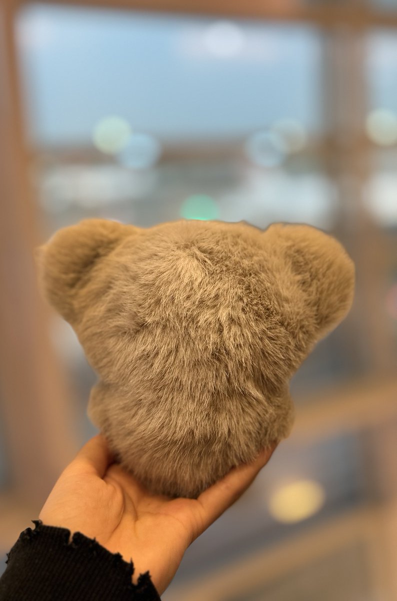 mayugenosato's tweet photo. 🐨 https://t.co/MEAbf80wu8
