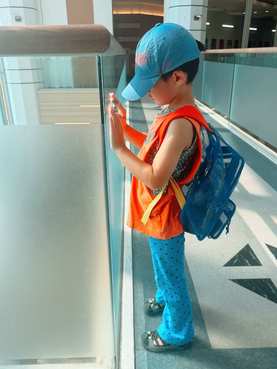 mamegohan777's tweet photo. さかなクンのママさんがさかなクン幼少期に水族館のタコ水槽の前で1時間以上粘る彼に付き合ったらしいけれど、先日昆虫博でカブトムシを触り続ける息子に5時間付き合った私も将来誰か褒め称えて欲しい https://t.co/59f5TTrhxX