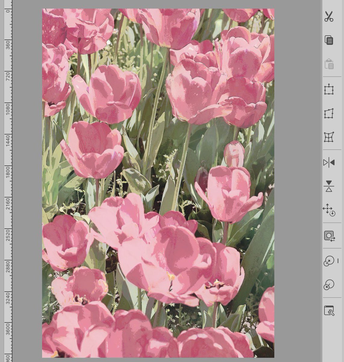 hanewko's tweet photo. ใน clip studio ก็ใช้ Binarization⭐️ Tone Curve,Gradient map วนไปจนกว่าจะถูกใจค่ะ 5555555555 https://t.co/uXp5FxUk95