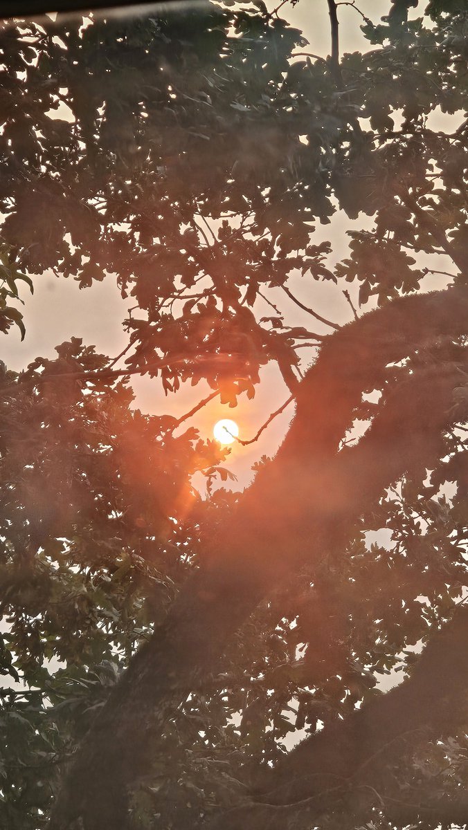 MrBonnington's tweet photo. @Star_Rims What season is this? Do we have a 5th season for burning red skies? https://t.co/AhZPHqJe4q