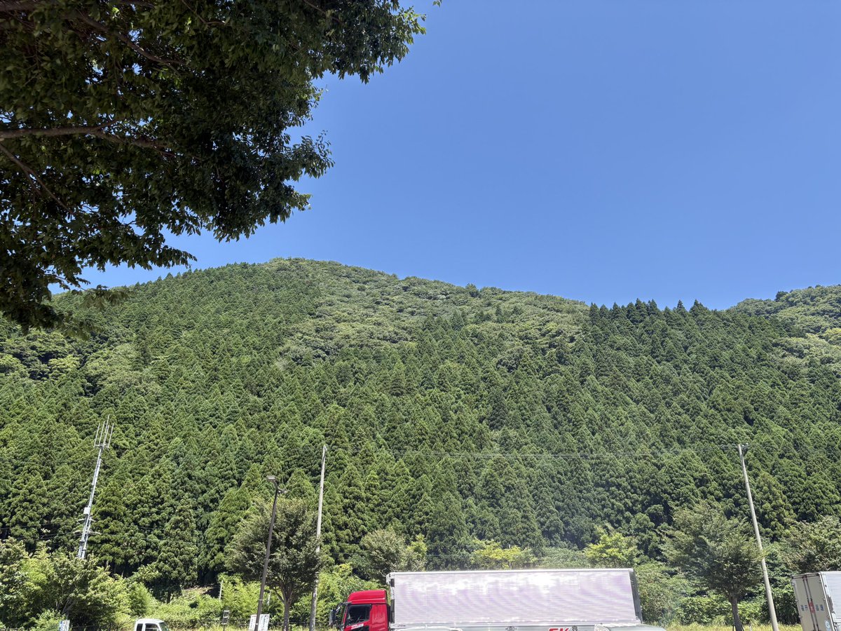 minorisuSimon's tweet photo. やま https://t.co/32UxAffkJh