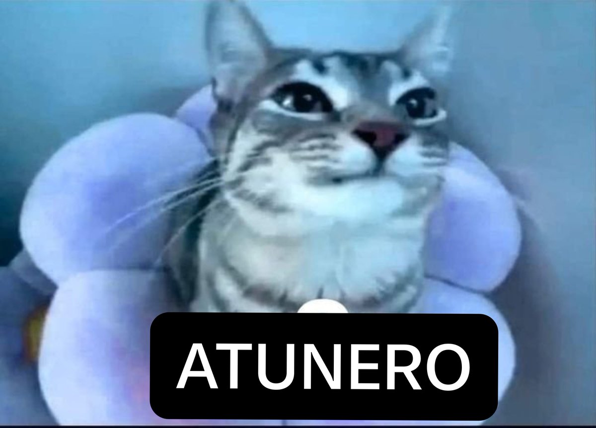 CJoshuaw's tweet photo. Tengo un "Atunero" en mi muñeca, acompañandome por el resto de la eternidad 
Si me das Follow + RT + Like 
Pongo la foto que te de la gana y te cito con ello https://t.co/XV2wAt1nck