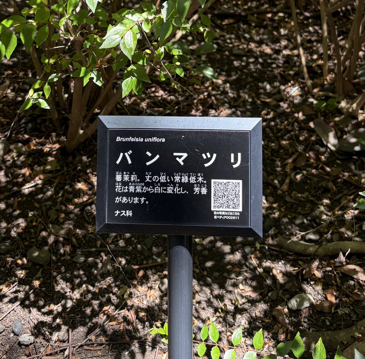 kiyosinging's tweet photo. ヤマザキ 春の https://t.co/OmNH1vYmTq
