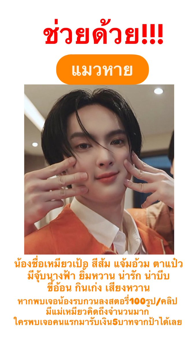 cu_meowper's tweet photo. ฝากรีเพื่อกระจายข่าว ประกาศหาแมวอ้วมหาย
#COPPERdechawat https://t.co/FH7QDXDv1Q