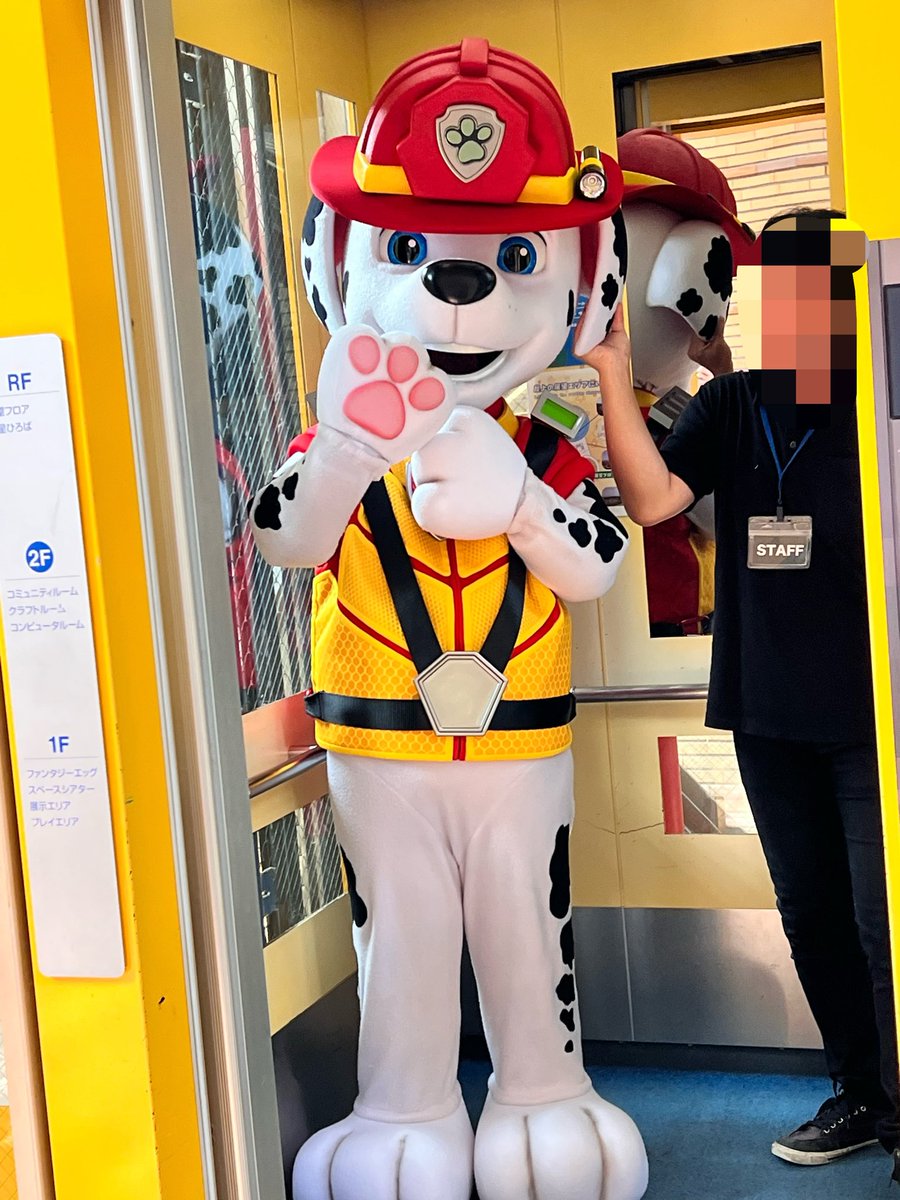 kappabito's tweet photo. パウパトロールのグリーティングに行ってきた！！初日マーシャル、2日目チェイス、どっちも受付間に合わず……😱グリーティングの部屋から帰るマーシャルが何回も止まってポージングしてくれたおかげで、受付漏れした子どもたちに神対応😭双子たちめっちゃ喜んでた！マーシャルありがとぉぉぉぉ♡ https://t.co/0GkILrqdup