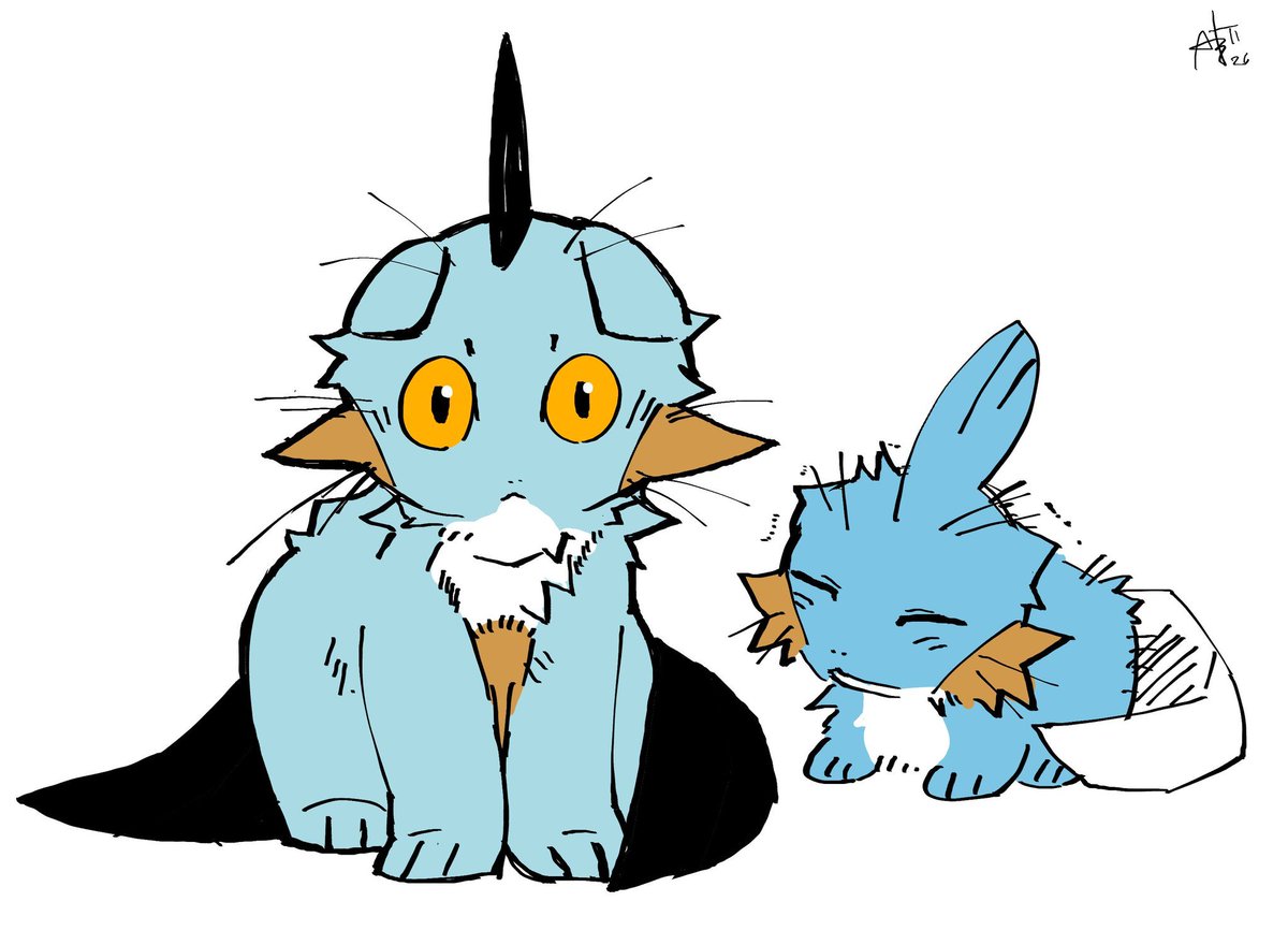 Altefortius's tweet photo. ぬまねこポケモン https://t.co/UYhWTJBAUa