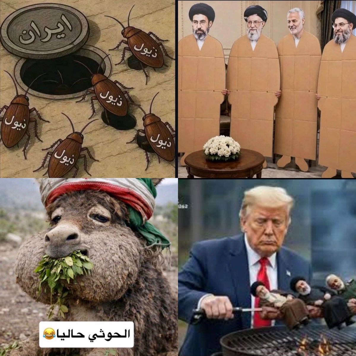 al45215's tweet photo. @Momhmd58421585 لغة ترمب https://t.co/OsBOEWOXQo