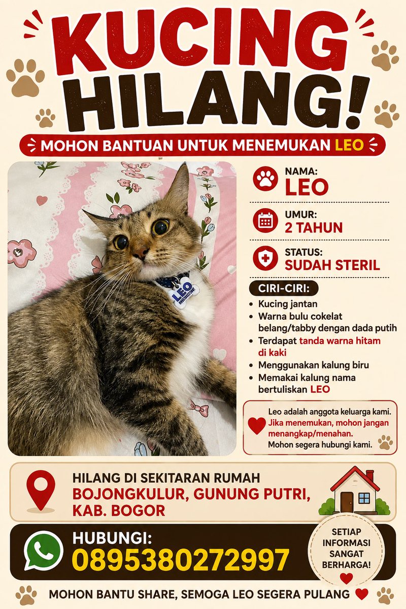 0xypoxy_'s tweet photo. Teman-teman boleh minta bantuannya ya, kucing aku hilang sejak tgl 04-08-2026 pagi, untuk sekitaran wilayah Bojongkulur. https://t.co/zFEnlIUpcs