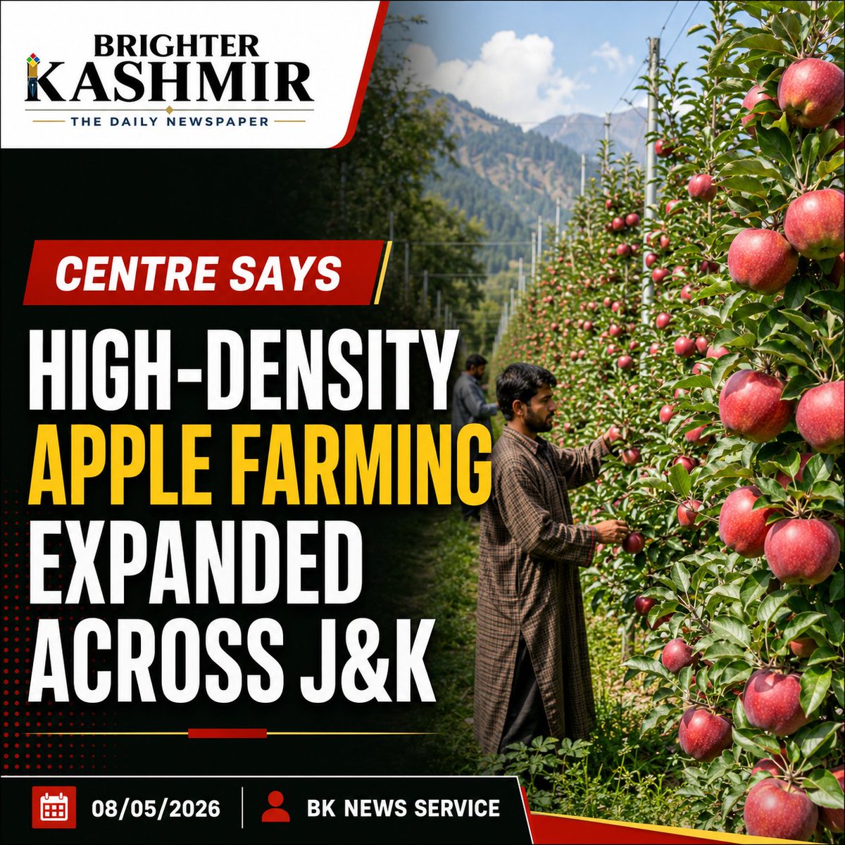 brighterkashmir's tweet photo. High-density apple farming expanded across J&K: Centre
08/05/2026 | BK News Service
#BrighterKashmir #AppleFarming #HighDensityFarming #KashmirApples #JammuAndKashmir #Horticulture #IndianAgriculture #Farmers #BreakingNews #IndiaNews #BKNews https://t.co/GlHBoT2AF9