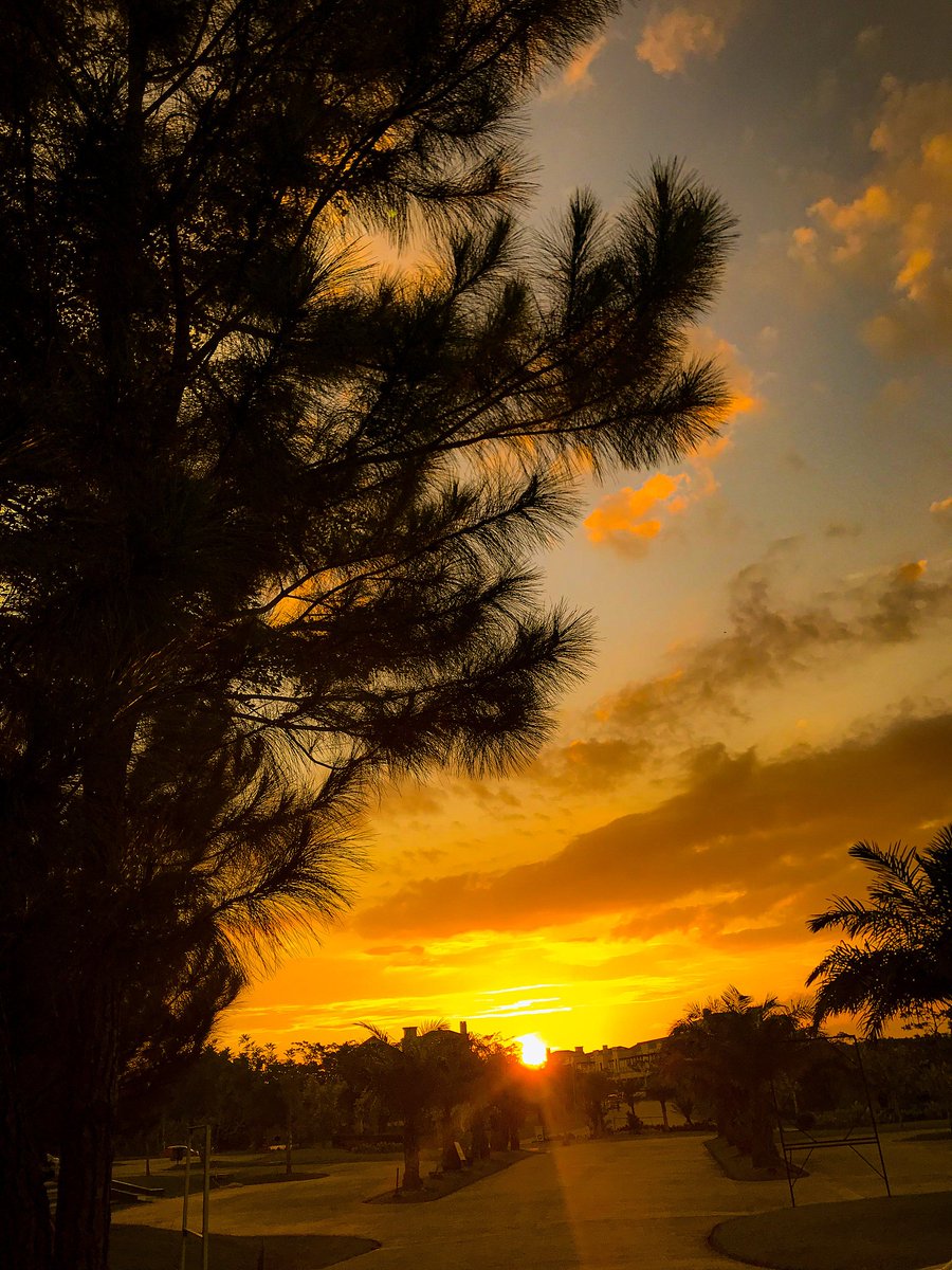 xoxo7l's tweet photo. Just watched the most breathtaking sunset from our campsite—crisp air, crackling campfire, and zero notifications hitting the spot.  #GlampingVibes https://t.co/aK9TggKMhC