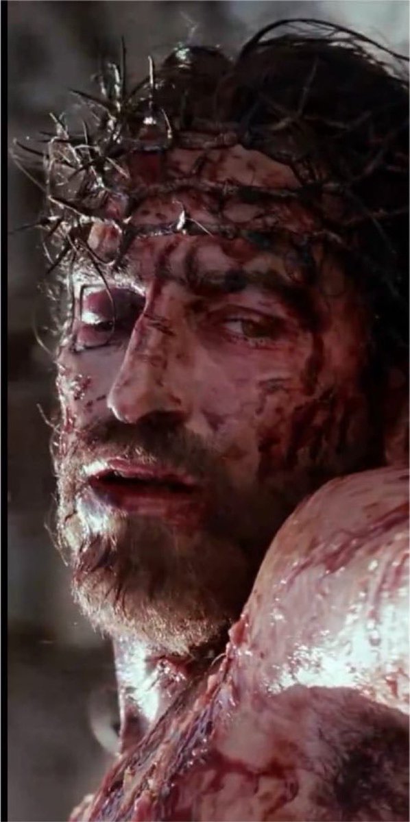 Real_MelGibsonQ's tweet photo. Are you a child of God ?

Do you believe that Jesus died to save us all ? 

A. Yes 
or
B. No https://t.co/PDCL5XQe4G