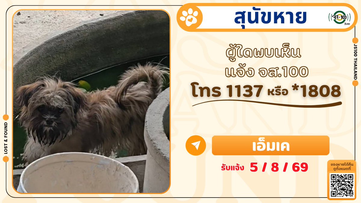 js100radio's tweet photo. สุนัขกระโดดหายจากท้ายรถปิคอัพ หายระหว่างเส้นทาง ถ.มิตรภาพจากปากช่อง > ถ.พหลโยธิน > ถ.กาญจนาภิเษก เข้าบางบัวทอง ผู้ใดพบเห็นแจ้ง JS100 โทร *1808 หรือ 1137

รายละเอียดเพิ่มเติม : https://t.co/aBt1Wedgtl

#สุนัขหาย #ตามหาสุนัขหาย #JS100 https://t.co/o89y6UltEt