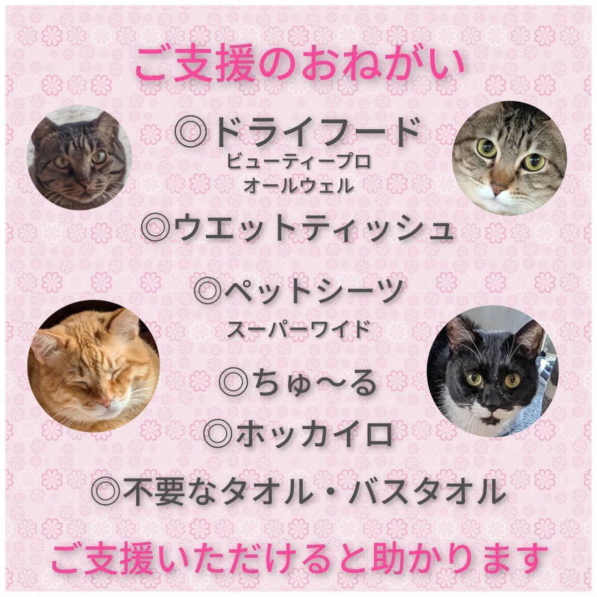 izumi20325's tweet photo. ④
🆘日向ぼっこからのご支援物資のお願いです🆘
いつも日向ぼっこのみんなを温かく応援していただき、本当にありがとうございます🙇
現在、日向ぼっこでは【ワンちゃん２匹、ネコちゃん9３匹】の総勢９５匹が暮らしています。
そのうちケアハウスにいる子たちは、病気の治療や介護が必要な状態です。毎日のお世話やお掃除、投薬を欠かさず続けていますが、頭数が多いため、現在以下の物資が大変不足しております。
皆様の温かいご支援をいただけますと幸いです。
どうぞよろしくお願いいたします🙇

🆘🔴特に不足している支援物資リスト
【フード・おやつ類】
●ハウスの子達のドライフード
(ビューティープロ成猫用)
●ケアハウスの子達のドライフード(オールウェル成猫用）
●ちゅ〜る
（毎日の投薬時にどうしても必要です）
●水分補給ができるウェットフード（ケアハウス・居間の病気治療中の子、高齢猫、お口が悪い子用）

【猫砂・トイレ用品】
●サラサラの猫砂 / 紙の猫砂
（ハウスのトイレ用）
●システムトイレ用の猫砂
（ハウス・ケアハウス用）
●ペットシート
（スーパーワイドサイズ：床やケージ用）
●ペットシート
（レギュラーサイズ：システムトイレの中敷き用）

【日用品・その他】
不要になったタオル
バスタオル不要になったラグ
コタツ敷布団
マット（玄関用サイズ）
多頭飼育用のキャットタワー

 🍀Amazon欲しい物リスト🍀
ご協力よろしくお願いいた🙇
https://t.co/fdTYJkFwTH

【お届け先】
〒889-1112 宮崎県日向市幸脇601-20保護ハウス日向ぼっこ小野 加代子 宛（連絡先：080-9103-7641）
※ 電話は言語障害が有り少し苦手なため、お世話中の場合は対応が遅れることがございます。
ご理解いただけますと幸いです。
🐶🐱可哀想な命を1匹でも多く救い穏やかに健やかに過ごさせてあげるために皆様の力を少しずつ貸してください🙇
どうぞよろしくお願い致します🙇

〜　🍀　〜　🍀　〜　🍀　〜

いつも温かい応援をいただき本当にありがとうございます🙇
個人で運営している当ハウスの「現在の非常に厳しい財政状況」について、ありのままをお伝えし皆さまのお力を貸していただきたく投稿いたしました。
⚠️ 現在の深刻な状況について「日向ぼっこ」は個人の保護ハウスであるため、行政からの助成金などは一切ありません。
すべて皆さまからのご支援金と自費でやりくりをしています。
現在、ワンちゃん・ネコちゃんの頭数が非常に多く、以下の費用が逼迫し、支払いが極めて困難な状態に陥っています。
🆘高額な医療費
(通院治療、高齢猫のケア、ケガや病気の投薬費用)
🆘毎日のフード代
ハウス・ケアハウスに加え、毎日参加している白鬚神社の譲渡会に参加する子たちのフードも毎日買いに走っている状態です。
🆘光熱費・維持費
ハウスとケアハウスの「2軒分」の電気光熱費、建物の維持・修繕費用
どの子にも適切な医療を受けさせお腹いっぱいご飯を食べさせてあげたいと私や家族やボランティアさんたちで毎日必死に看病とお世話をしていますが個人の限界を大きく超えてしまっています。
家族が少しでもみんなのご飯代や医療費の足しになればと　川南の白鬚神社さまで開催中の『ふれ愛サロン＆譲渡会場』にて、ハンドメイドの革製品や小物をチャリティー販売しています‼️譲渡会にお越しの際は、ぜひお手に取ってご覧いただけると嬉しいです。
🐶🐱🐢保護っ子たちの穏やかな暮らしを守るために私たちはこれからも一生懸命努力を続けてまいります。
どうか保護っ子達の命を繋ぐために温かいご支援ご協力をよろしくお願いいたします🙇‍♀️🍀

【マンスリーサポーターの皆様への御礼と引き続きご協力のお願い】
いつも温かい応援をいただき本当にありがとうございます。
「譲渡型保護ハウス日向ぼっこ」では、９３匹の犬猫たちの毎日のご飯代を支えていただくため、令和5年10月26日より【マンスリーサポーター制度】を導入し、皆様に参加をお願いしております。
集まった支援金はすべてこの子たちの毎日の大切なフード費用に充てさせていただいております。　

🍀マンスリーサポーターの皆様🍀
いつも本当にありがとうございます🙇
毎月継続して温かいご支援をいただき日々のお世話の大きな支えになっております心より感謝申し上げます🙇🍀
● キタムラ様
● ヒラバル様
● ヤマモト様
● コジマ様
● オバニャンコ様
● カドガワ様
● ケロリ様
● キクチ様
● オオシロ様
「一匹でも多くの命を救いたい」
「毎日のご飯をお腹いっぱい食べさせてあげたい」という活動に毎月定額でのご支援をいただけるサポーター様を、引き続き募集しております。皆様の温かいお気持ちを、どうぞよろしくお願いいたします。🙇‍♂️
毎日たくさん食べる子たちばかりなので毎月の継続的なご支援が本当に助かっています。
これからも日向ぼっこのみんなをどうぞよろしくお願い致します🙇🍀
