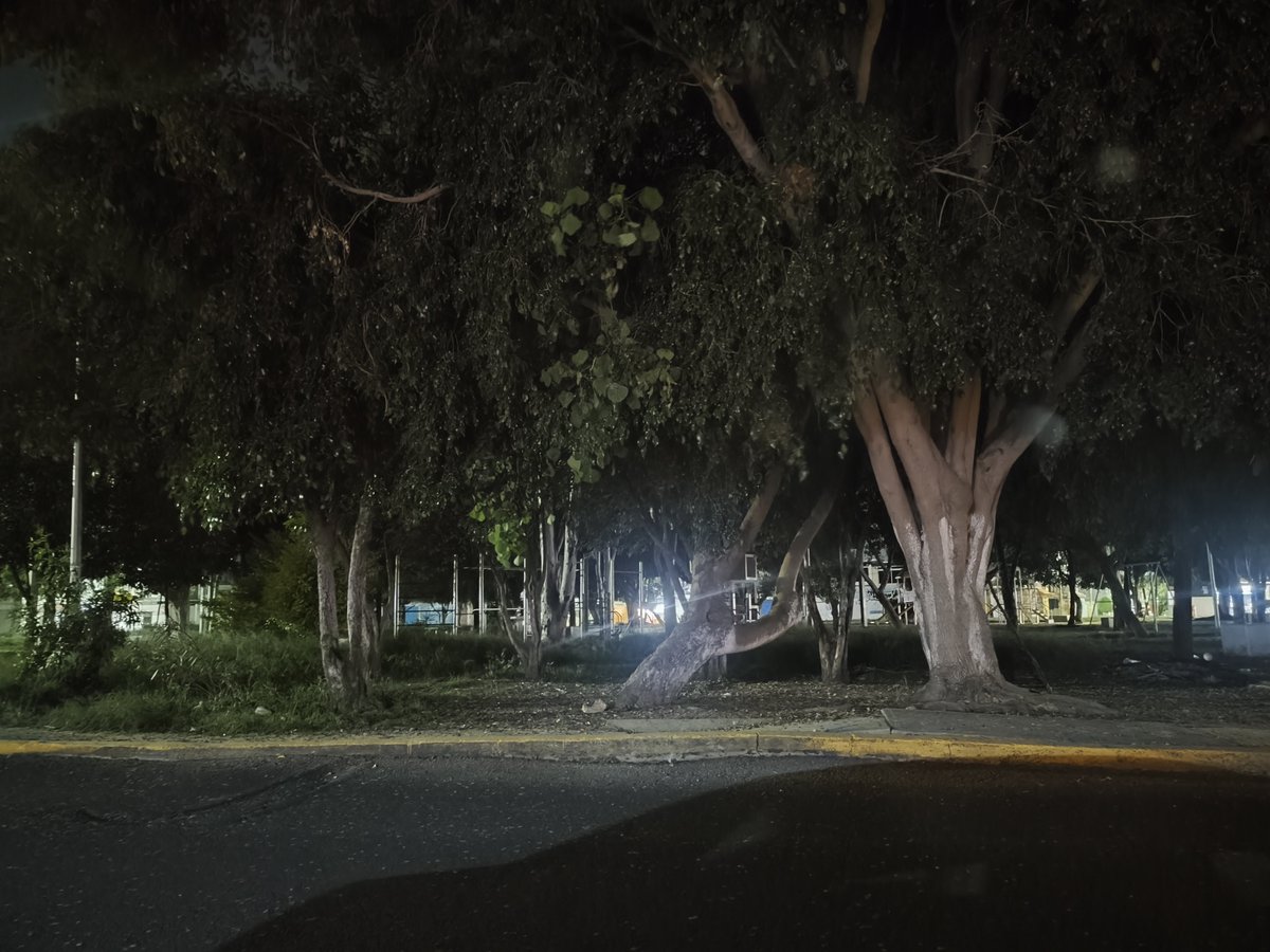 omaracvs's tweet photo. @ursula_nav42878 @pepechedrauimx En héroes de Puebla la rotonda 2 de abril lleva más de un mes sin luz, lo reporté cuando empezaron a parpadear las lámparas, lo reporté cuando se habían apagado dos o tres, ahorita NI UNA LUMINARIA FUNCIONA.
No presuman lo que no hacen https://t.co/45COkQHhxQ