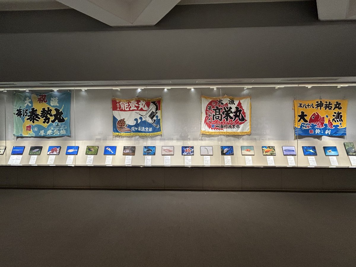 GNichidoK's tweet photo. 暑い日が続いてますね。＃笠間日動美術館　では「さかなクンのギョ苦楽展」を開催。アクアワールド大洗水族館にご協力をいただいたおさかな写真コーナーではおいしいおさかなが大集合！フランス館1階では「食欲をそそるアート」展。暑い夏、食欲減退にそなえ、おいしそうな絵を見てみましょう！ https://t.co/yKXJm7dglL