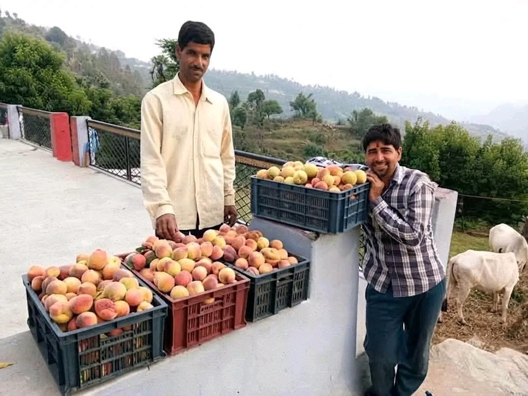 manjeetnegilive's tweet photo. स्वरोजगार ही उत्तराखंड के भविष्य की सबसे मजबूत नींव है, और चम्बा (टिहरी गढ़वाल) के चोपड़ियाल गाँव के श्री खुशीराम डबराल जी इसकी जीती-जागती मिसाल हैं।
उन्होंने अपनी मेहनत, दृढ़ संकल्प और अटूट इच्छाशक्ति के दम पर पहाड़ की कठिन परिस्थितियों को अवसर में बदल दिया। जंगली जानवरों की चुनौती के बावजूद उन्होंने हार नहीं मानी, बल्कि अपनी खेती को ही अपनी सबसे बड़ी ताकत बना लिया। आज उनका पूरा परिवार खेती से जुड़कर आत्मनिर्भर जीवन जी रहा है।
श्री खुशीराम डबराल जी उन युवाओं के लिए प्रेरणास्रोत हैं, जो यह मानते हैं कि सफलता केवल शहरों में ही मिल सकती है। उनका जीवन संदेश देता है कि यदि इरादे मजबूत हों, तो अपनी ही मिट्टी पर सम्मान, रोजगार और सफलता—तीनों हासिल किए जा सकते हैं।
आज श्री खुशीराम डबराल जी खेती से अच्छी आय अर्जित कर रहे हैं। उनके खेत स्थानीय किसानों और युवाओं के लिए सीखने का केंद्र बन चुके हैं। कई लोग उनसे आधुनिक खेती की तकनीकें सीखकर अपनी खेती को बेहतर बना रहे हैं। उनका सफर साबित करता है कि मेहनत और सही सोच से खेती भी सम्मानजनक और लाभदायक रोजगार बन सकती है।
उत्तराखंड के हर युवा को उनसे प्रेरणा लेकर स्वरोजगार, आधुनिक खेती और उद्यमिता की ओर कदम बढ़ाना चाहिए। जब युवा अपने गांव में अवसर पैदा करेंगे, तभी पलायन रुकेगा और एक आत्मनिर्भर, समृद्ध उत्तराखंड का सपना साकार होगा।