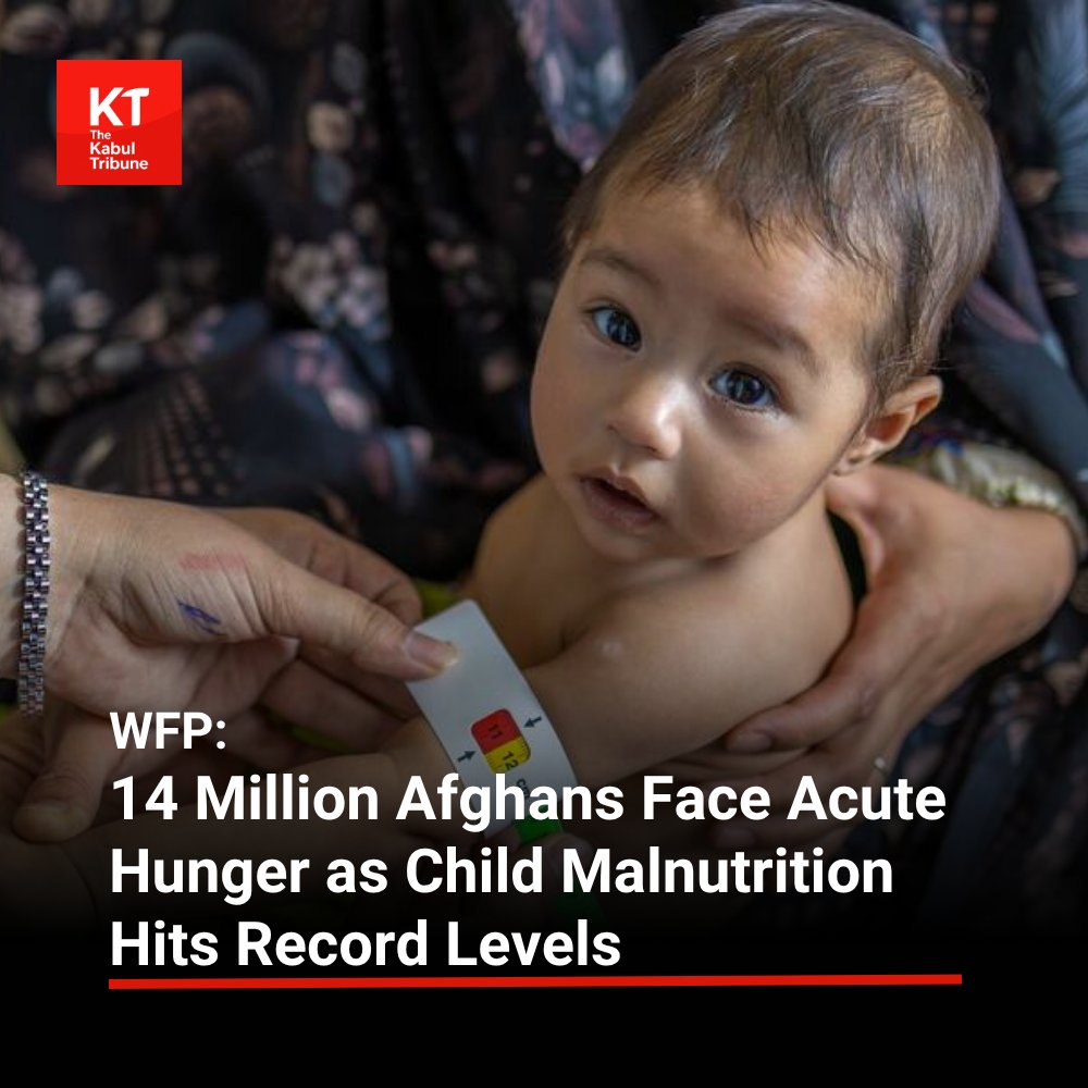 TheKabultribun's tweet photo. The #United #Nations World Food Programme (#WFP) has warned that 14 million #Afghans are now facing acute hunger, while child malnutrition has reached critical levels in 12 provinces, the highest number ever recorded.
https://t.co/3kb5rpcfpo https://t.co/11FdNqWHnQ