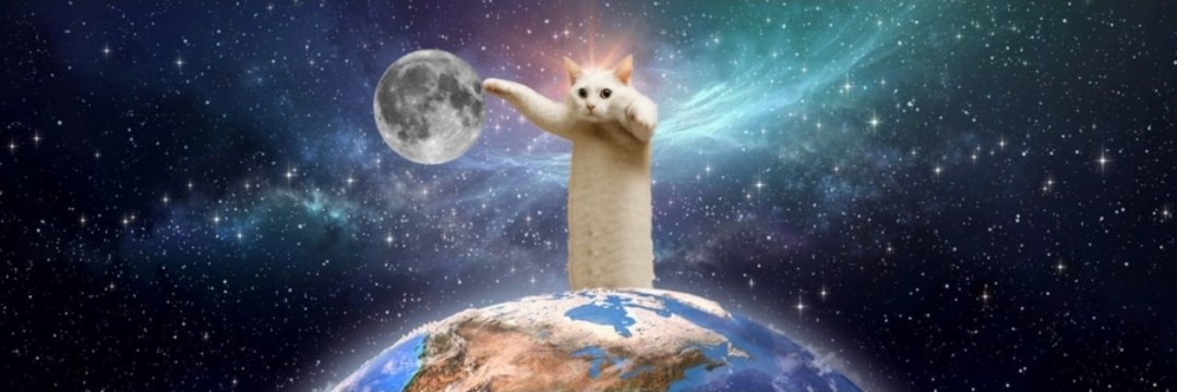 SupreemeSol's tweet photo. @solincinerator $SHIRO the first internet meme cat that became the most viral 

CLEjjvLaGoQjGxu1N3iVvjaCxDVtEZv4YJ3pSoAYpump https://t.co/Uk08wJHuQI