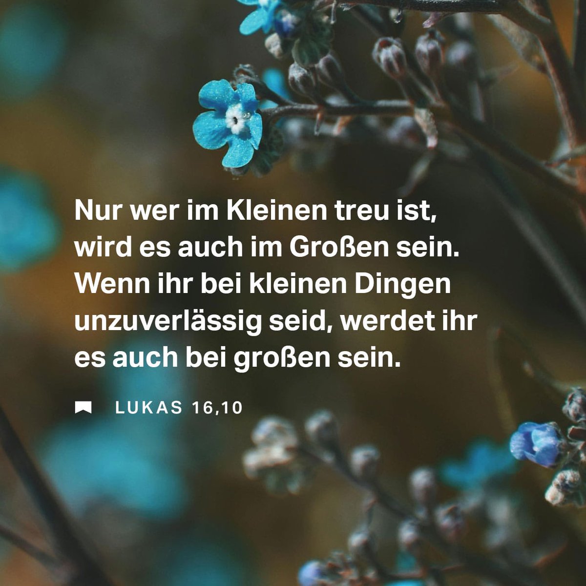 GodinJails's tweet photo. 😌✡️🙏🏼✝️ #Tagesvers #Treu #HaShem #Christus #Bibel https://t.co/cMgphJMLaN