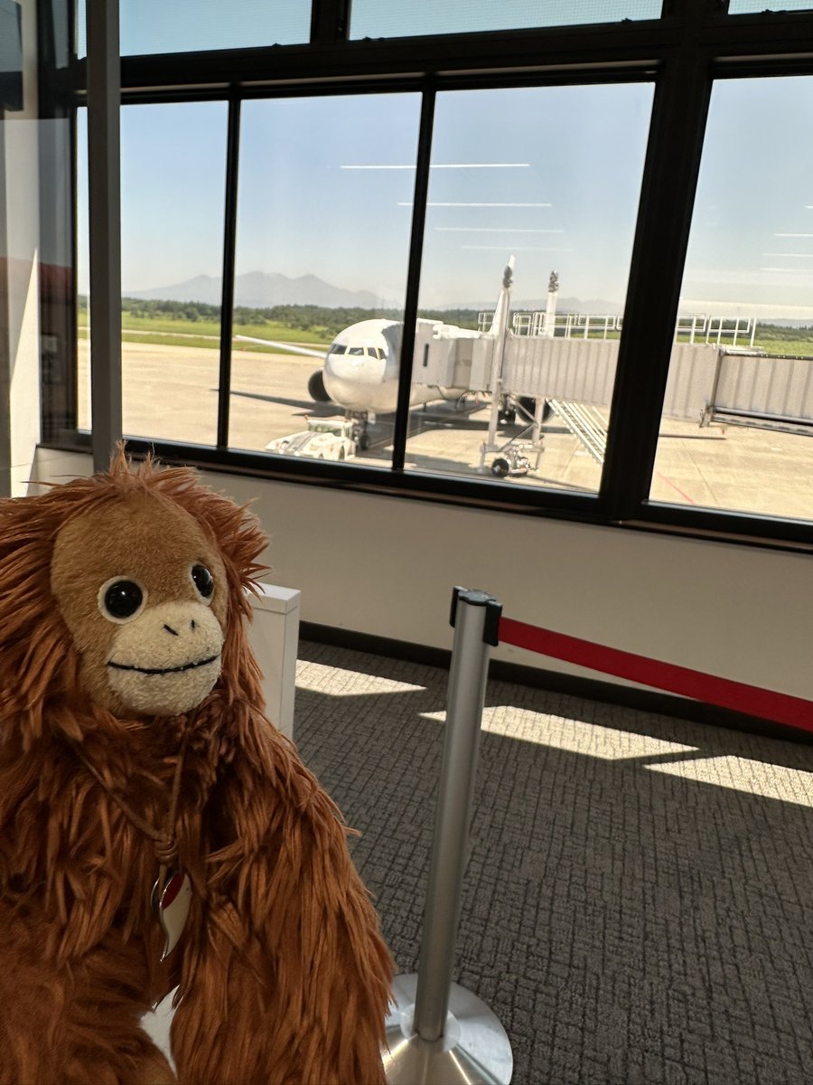 aoisaji's tweet photo. 飛ぶみたい✈️ https://t.co/ARkT69kFQU