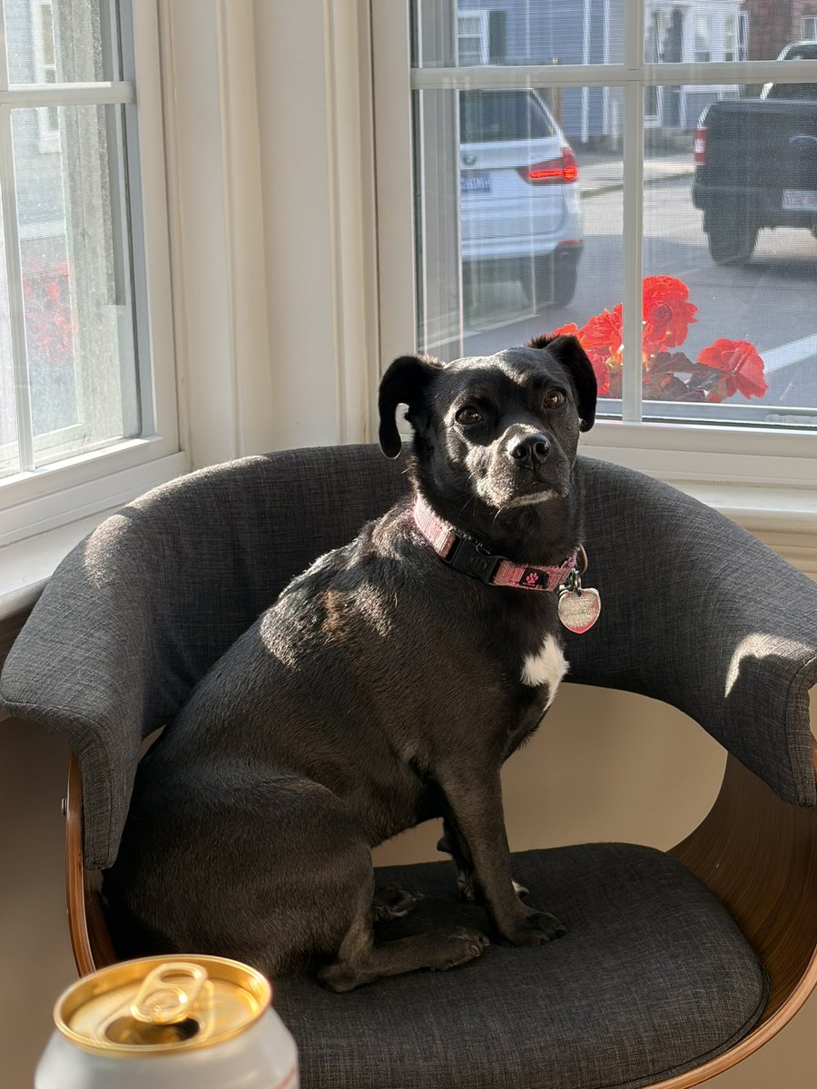 FightMass's tweet photo. #picklesupdate it was her birthday today quick say HBD you have eight minutes GO https://t.co/qtZXBaLcMt