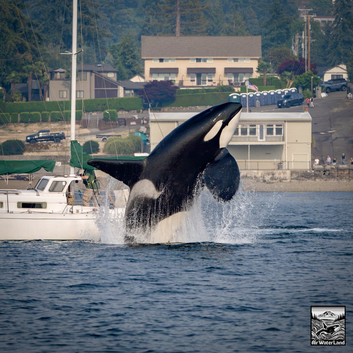 airwaterlandcom's tweet photo. Browns Point, WA https://t.co/UuLminJlpz