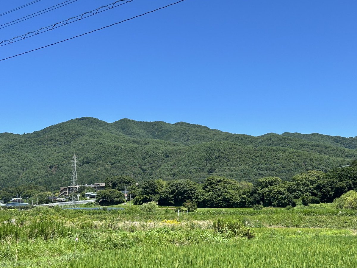 buchi_kazuu's tweet photo. 夏ですね〜 https://t.co/kAUh66ZbmF