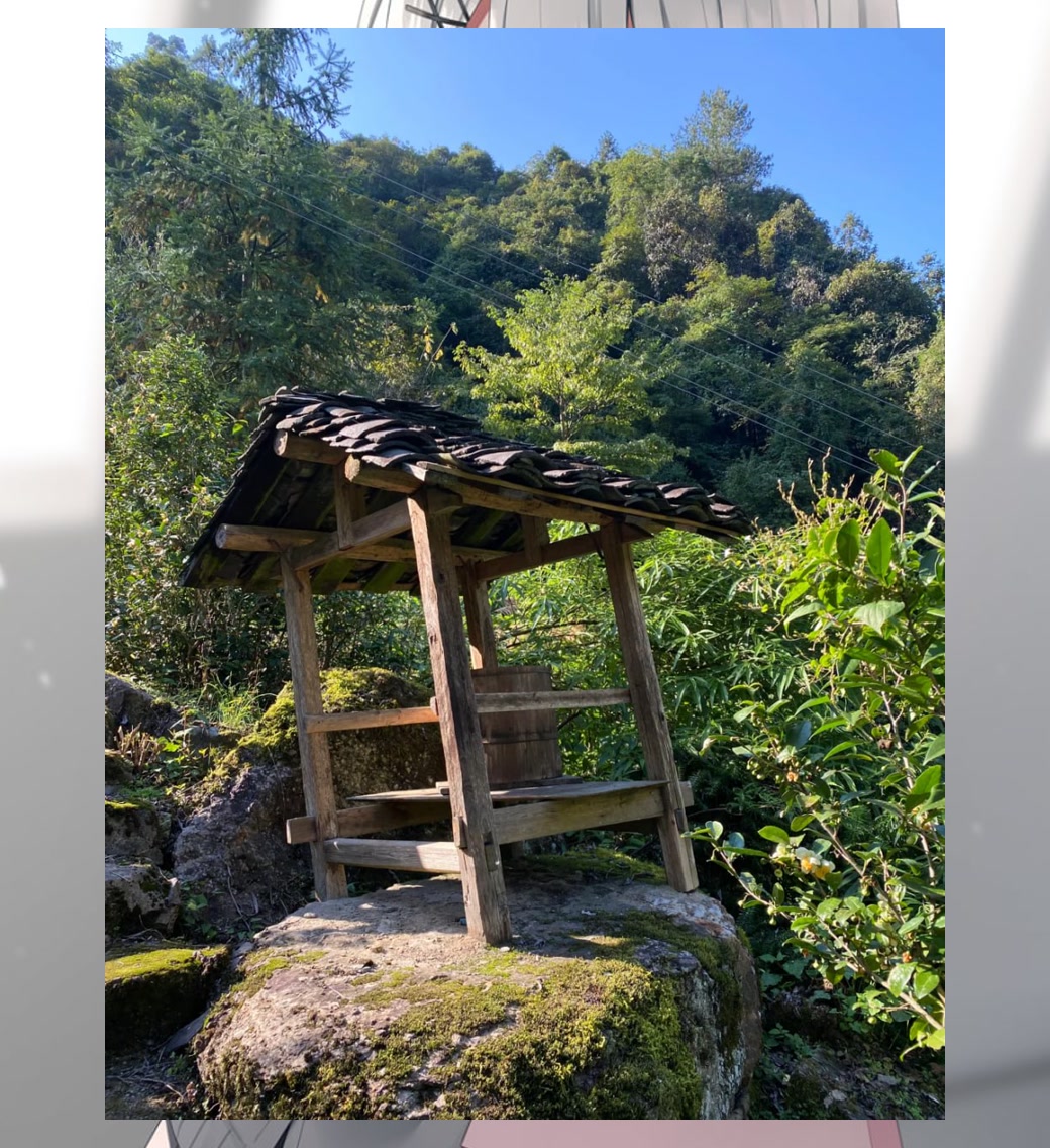 LadyDryGrape's tweet photo. Lesley Fielding🧼🤮🏰
济南 历 下  历 城  槐 荫 #济南 @nona2jj https://t.co/PAsR5T6SqB