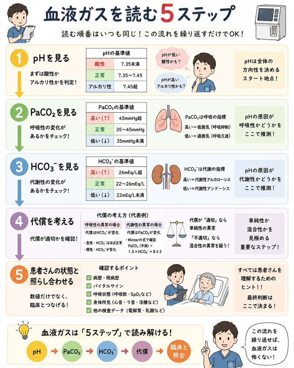 NArehab222's tweet photo. 血液ガスを見る時、
PaO₂だけ見て終わると、 大事な情報を見逃します。
5ステップで、pH 、PaCO₂ 、HCO₃⁻、代償を考える、状態と照らし合わせて考える
このステップを使うと、 患者さんの状態が見えてきます。 https://t.co/MW16deyb84