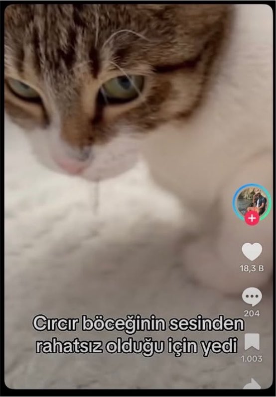 erenxtweet's tweet photo. Bizim olur olmadık her şeye kuruluş https://t.co/Yub1mZiYDl