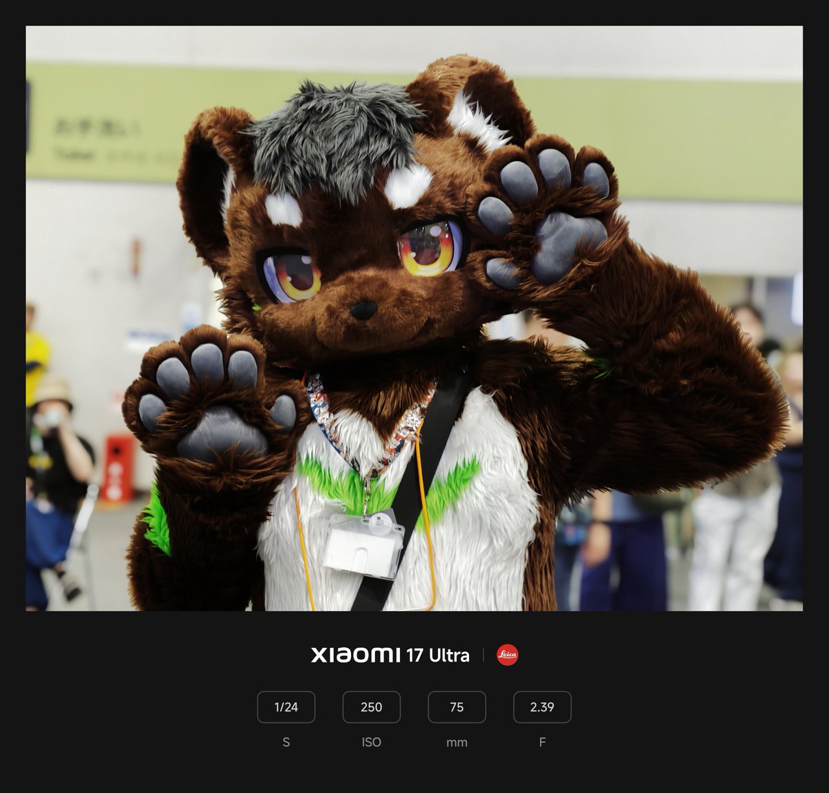 Shirokuma_4GLTE's tweet photo. #OFFF2026 でデビューのふうとくん、バチコリ可愛くて一瞬で推しになりましたので、ここでご報告いたします（？？） https://t.co/gsf3eYh3KE