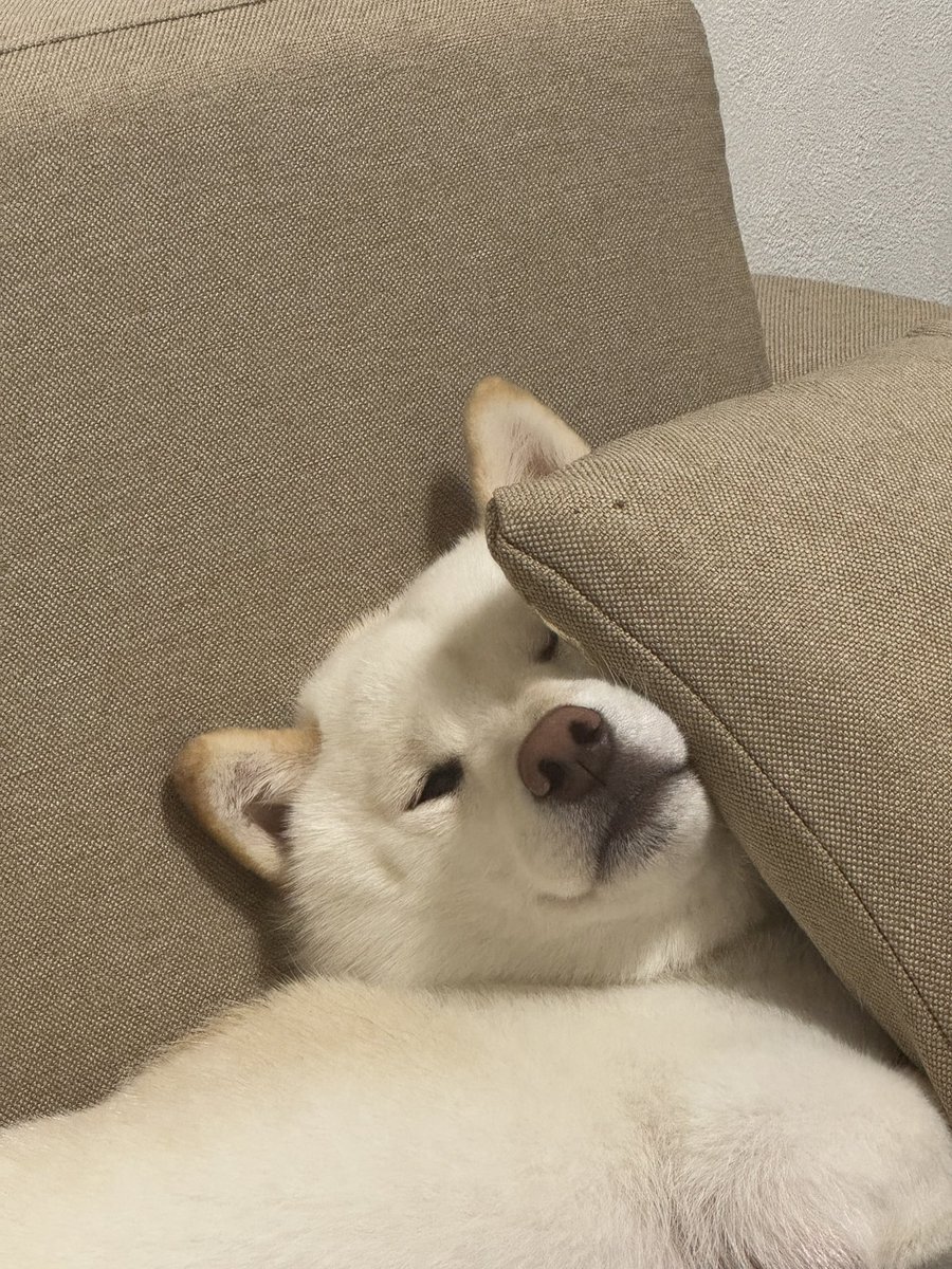 saku (@fps__saku) / Posts / X