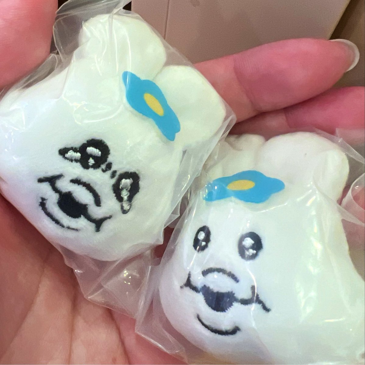 puchamcham's tweet photo. 出会えた🥹可愛い💞💞💞 https://t.co/MOan7hl78A
