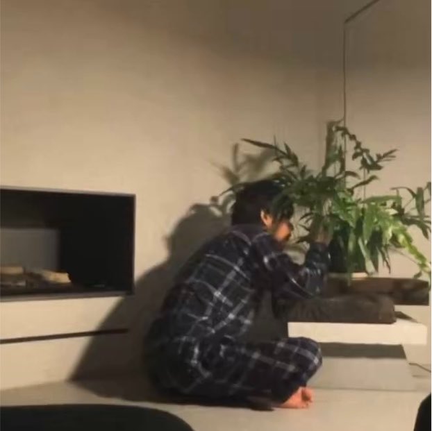 tangmotwit's tweet photo. แทฮยองถามหน่อยสิ จากต้นในวันนั้น มันเหลือแค่นี้หรอ 555555555555555555555555555555555555

ที่เคยมาบ่นให้อาร์มี่ฟัง ว่าปลูกต้นไม้ยังไง กลัวน้องจะตายใบมันเหลือง ลงสตอรี่อวดต้นใบใหญ่สู่ต้นกระจิ๋วใบน้อยในวันนี้ 555555555 https://t.co/AsRZ2SgmNA