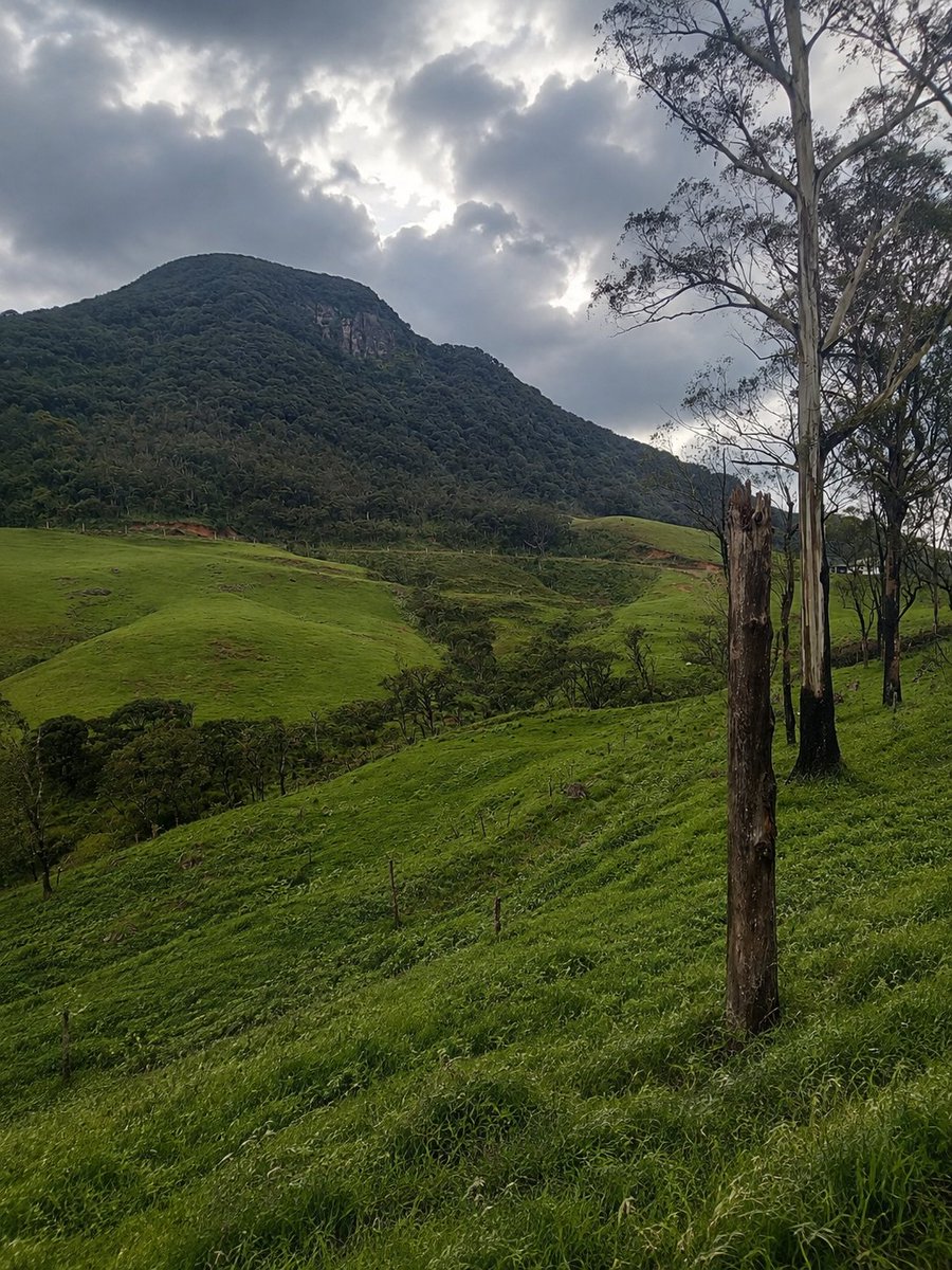 its_khalidhh's tweet photo. Where the mountains meet endless shades of green. 🌿⛰️

#Ambewela #SriLanka #nature #mountains #travel #destinations #picoftheday #likelikelike #followfollow https://t.co/LfP3JSMJg5
