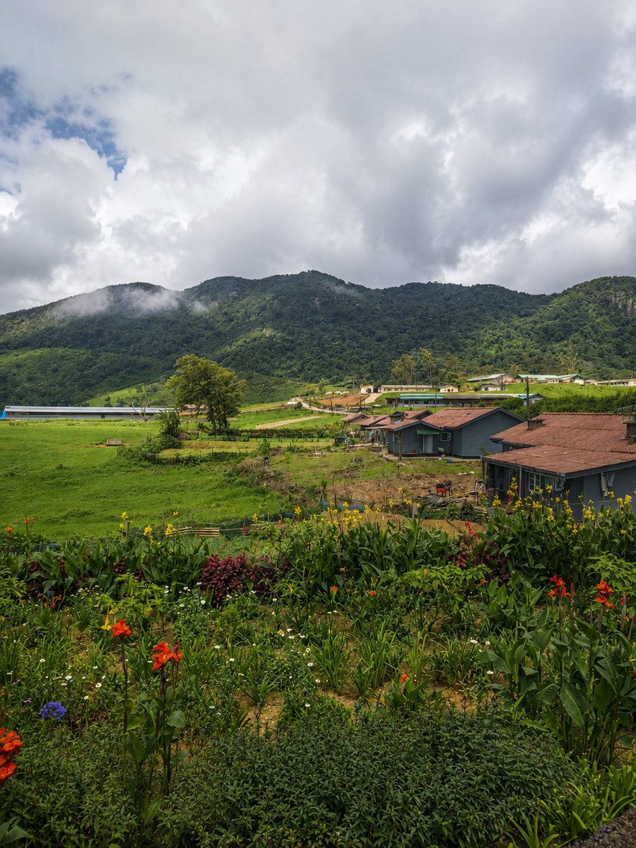 its_khalidhh's tweet photo. Where the mountains meet endless shades of green. 🌿⛰️

#Ambewela #SriLanka #nature #mountains #travel #destinations #picoftheday #likelikelike #followfollow https://t.co/LfP3JSMJg5