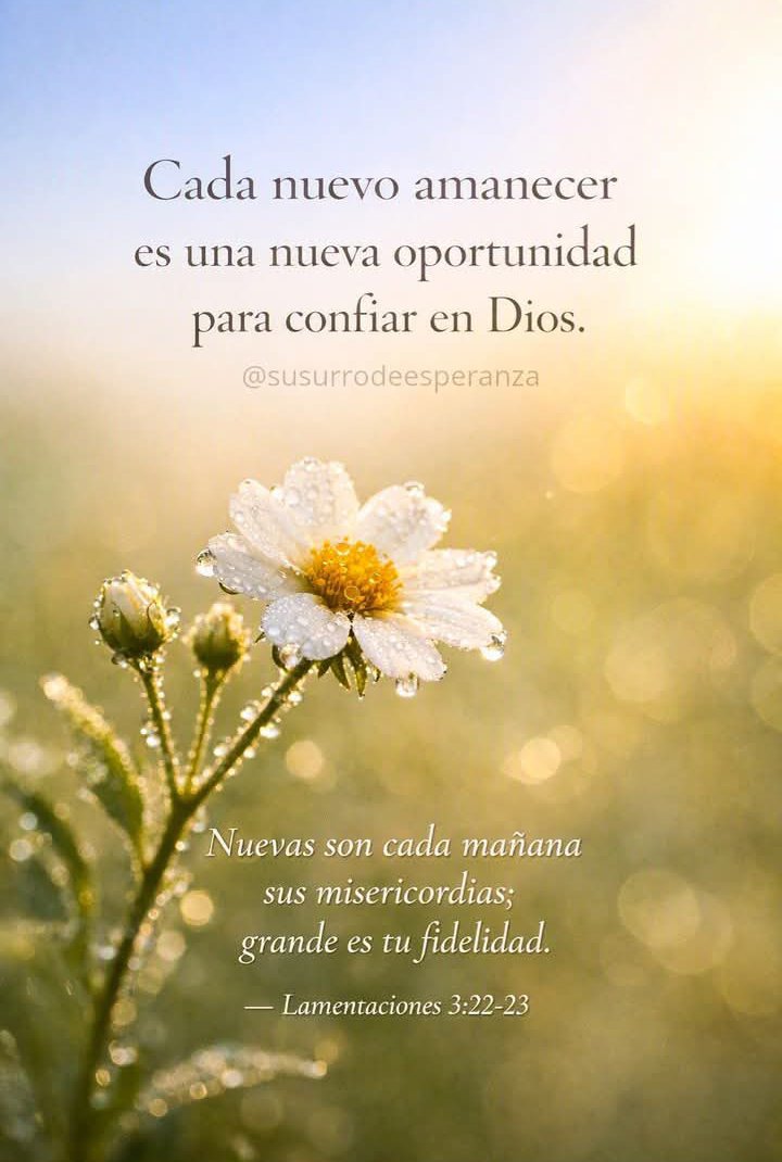 Saidasalas1's tweet photo. De mañana sácianos de tu misericordia, Y cantaremos y nos alegraremos todos nuestros días.
Salmos 90:14 https://t.co/ScLgypkzc6
