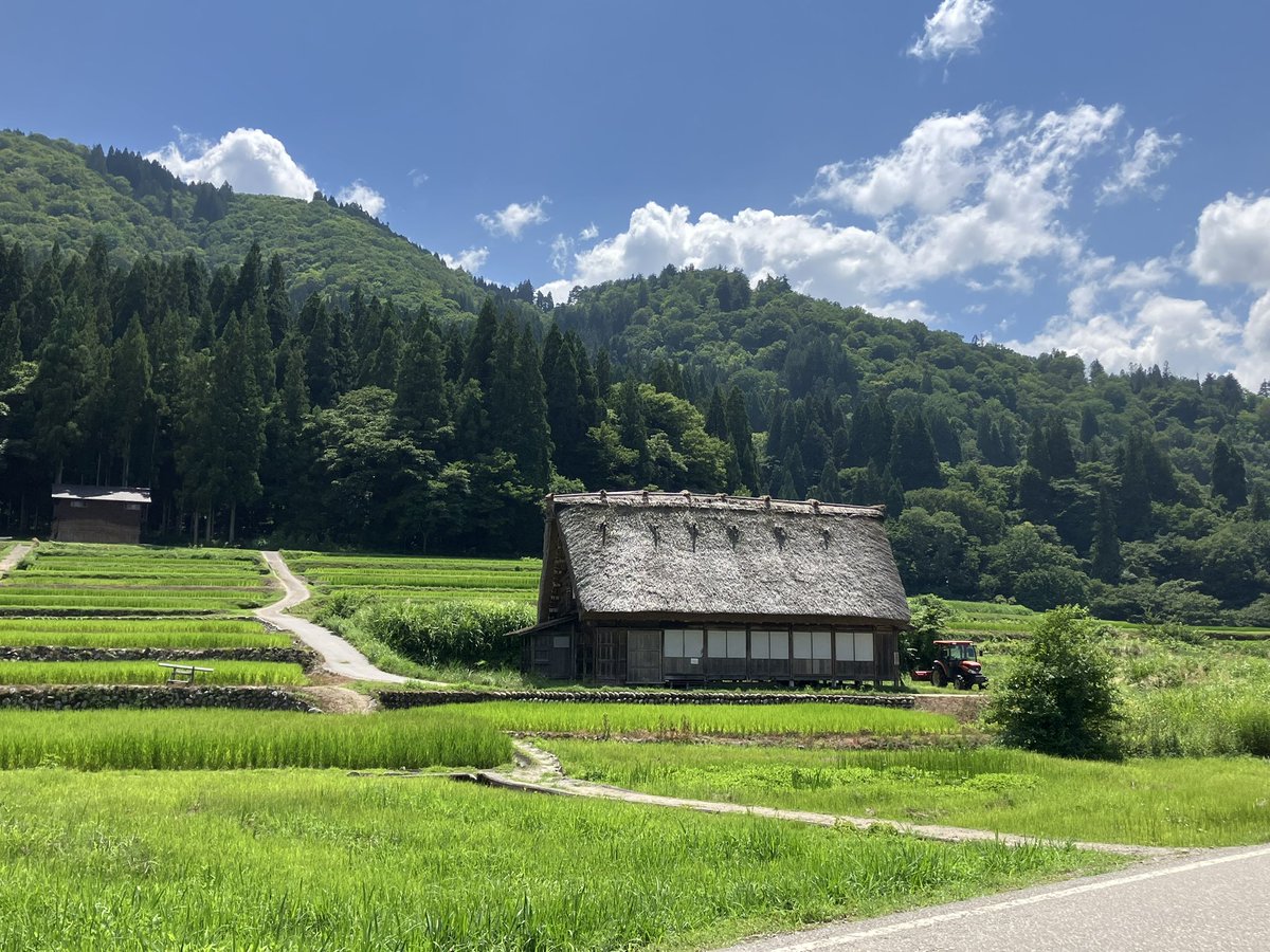Vecty22's tweet photo. 白川郡上八幡神社です。

駐車料金の元を取るために頑張りましたが力尽きました😇

駐車場の整理員のおばちゃんとおしゃべりしながら歩きました。
80歳のおばあちゃんの方が歩くの早かったです。強い https://t.co/NSwNSRaBS2