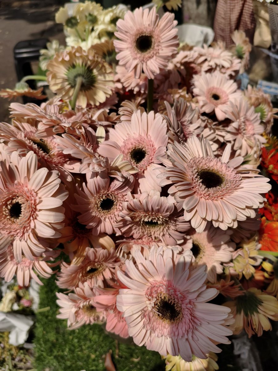 Dirgefull's tweet photo. Been a long time since I last treated myself to a bouquet. Maybe it’s about time I brought a little kindness home again. https://t.co/XKc8SmIz7g
