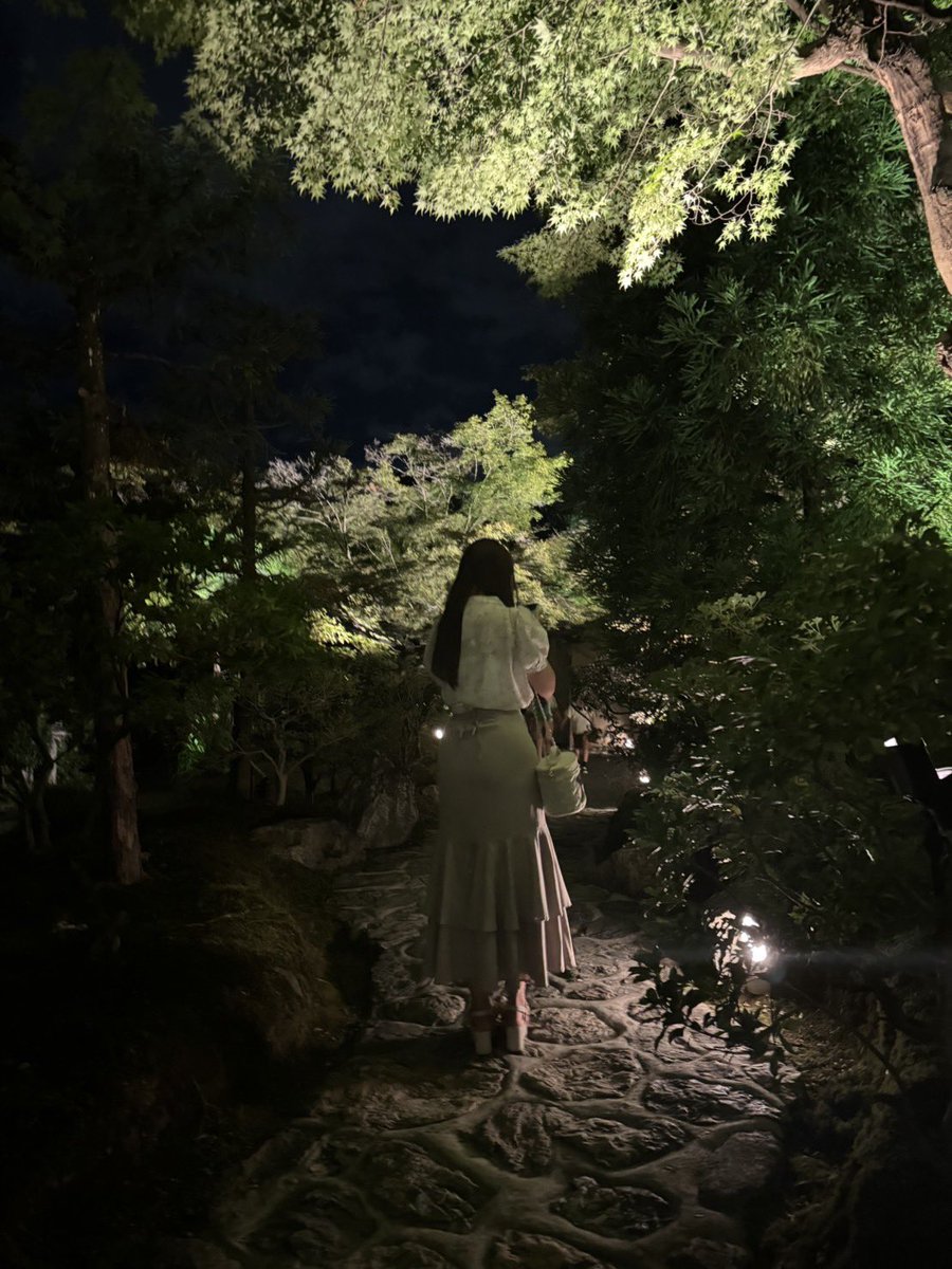 a239_n_'s tweet photo. ライトアップ綺麗やった🎋✨ https://t.co/1T3surmehJ