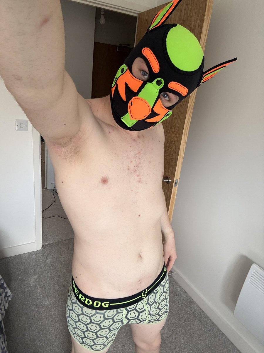 colossosAD's tweet photo. Wuff https://t.co/usVxR20Omf