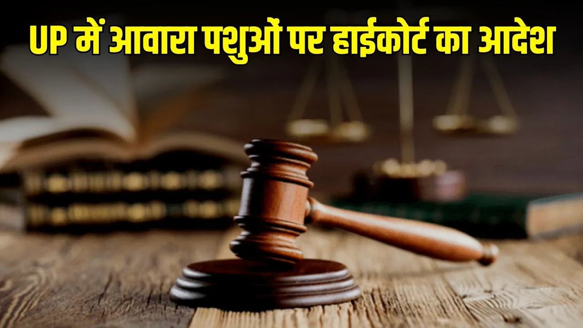 BansalNews_'s tweet photo. High Court Order: इलाहाबाद हाईकोर्ट का यूपी सरकार को निर्देश, कहा- दो हफ्ते में बताए छुट्टा पशु और लावारिस कुत्तों से प्रभावित स्थान
पूरी खबर पढ़ें: https://t.co/tn3K47BKDc
#AllahabadHighCourt #UPNews #StrayAnimals #StrayDogs #UttarPradesh #HighCourt https://t.co/wP2OjonLfG