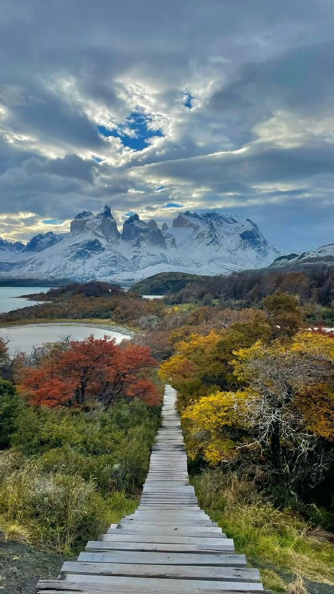hazeandvine's tweet photo. Patagonia, Chile https://t.co/gcSHHQt2sF