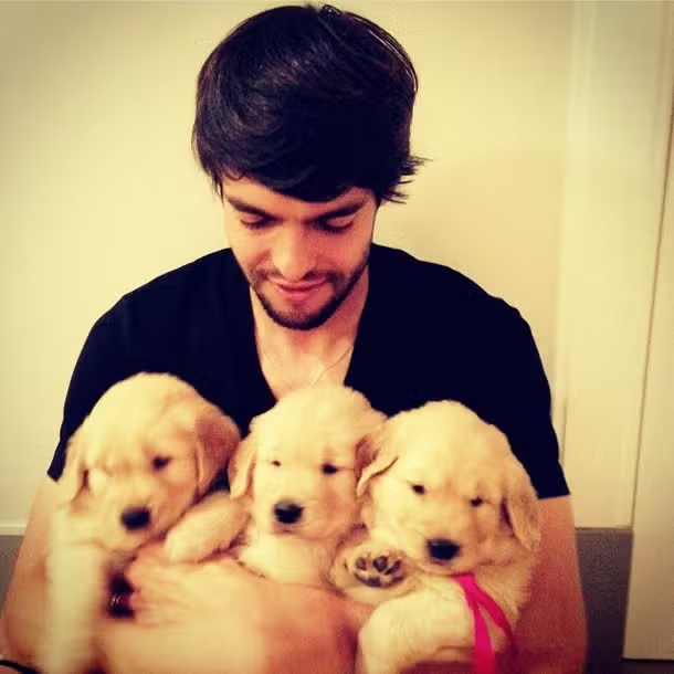 acervokaka's tweet photo. Ricardo Kaká with puppies

Ricardo Kaká com cachorrinhos https://t.co/ydtQFOGD8b