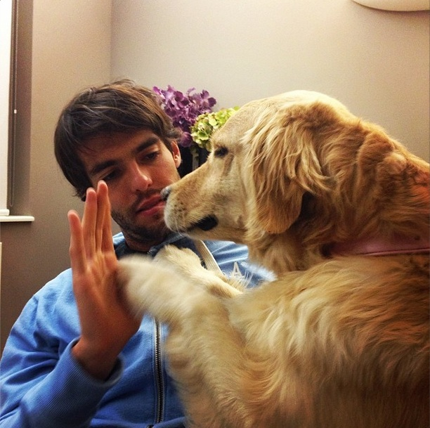 acervokaka's tweet photo. Ricardo Kaká with puppies

Ricardo Kaká com cachorrinhos https://t.co/ydtQFOGD8b
